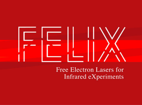 felix logo a4 outlines rood