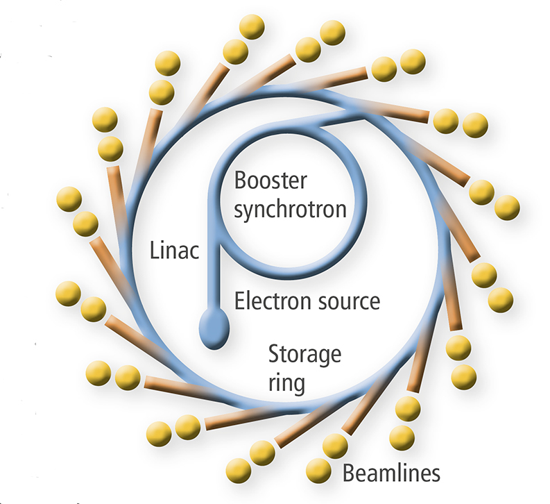 synchrotron schematic